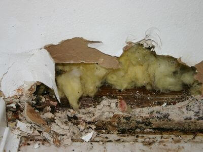 About water damage restoration service - burst pipe water damage experts in Tucson
